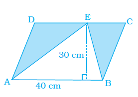 Page 354 Chapter 11 Class 8th NCERT Exemplar